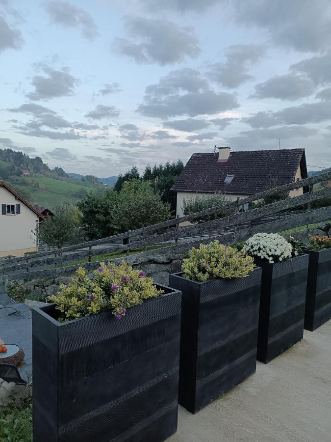 Gite Luxury A Soultzeren ภายนอก รูปภาพ